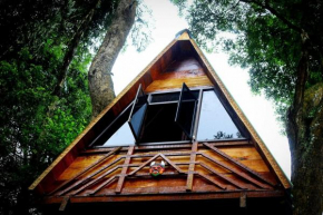 Econest treehouse
